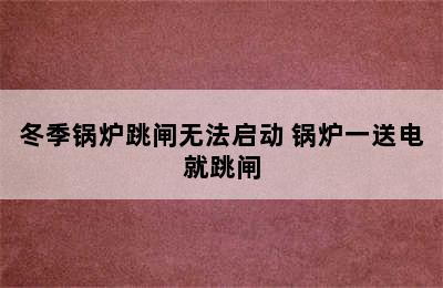 冬季锅炉跳闸无法启动 锅炉一送电就跳闸